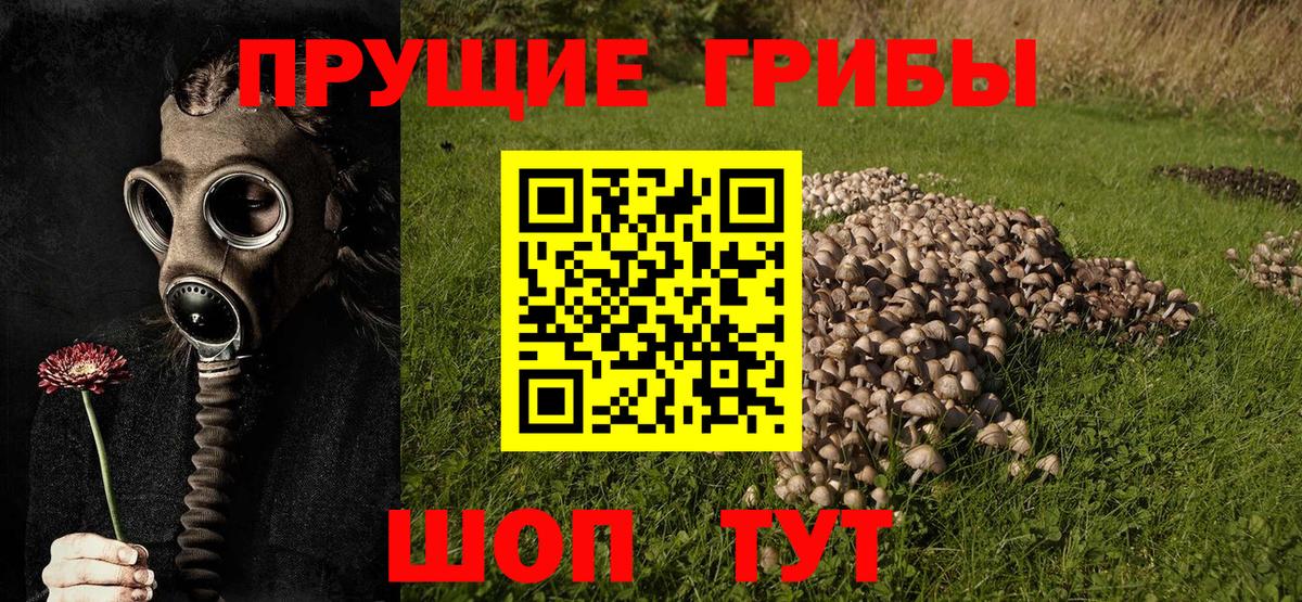 Лабытнанги  Галлюциногенные грибы GOLDEN TEACHER  Вход с VPN 