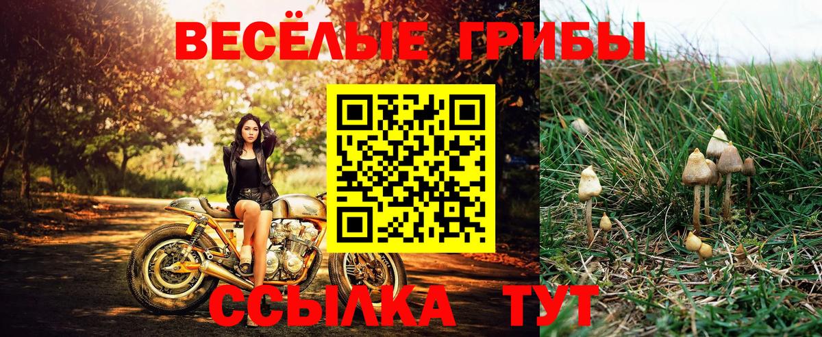 Псилоцибиновые грибы прущие грибы Лабытнанги